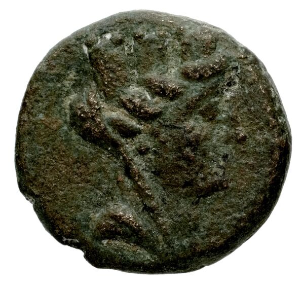 Laodicea ad Mare BMC Laodiceia ad Mare 1-3, аверс, BnF (IRIS)