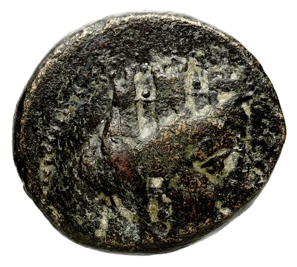 obverse Demetrias Hoover Syria 146