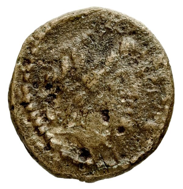 Ptolemais-Ake Kadman 1961 11-44, аверс, BnF (IRIS)