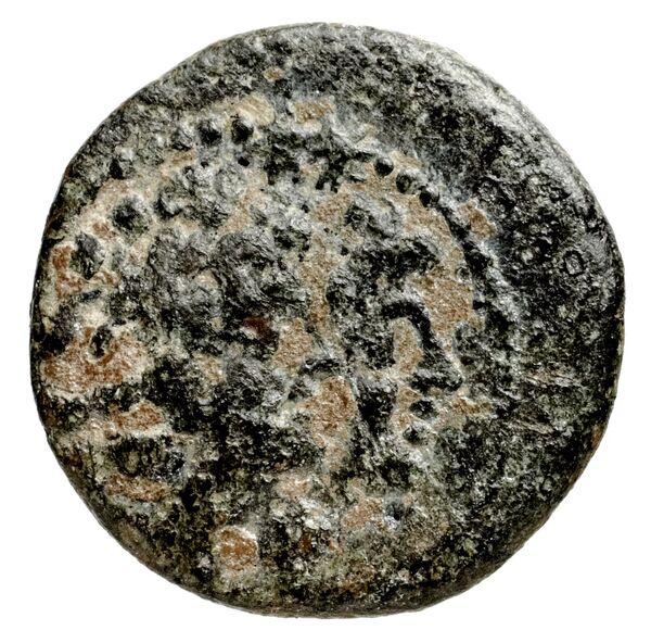 Ptolemais-Ake Kadman 1961 11-44, аверс, BnF (IRIS)