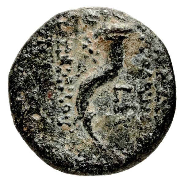 Ptolemais-Ake Kadman 1961 11-44, реверс, BnF (IRIS)