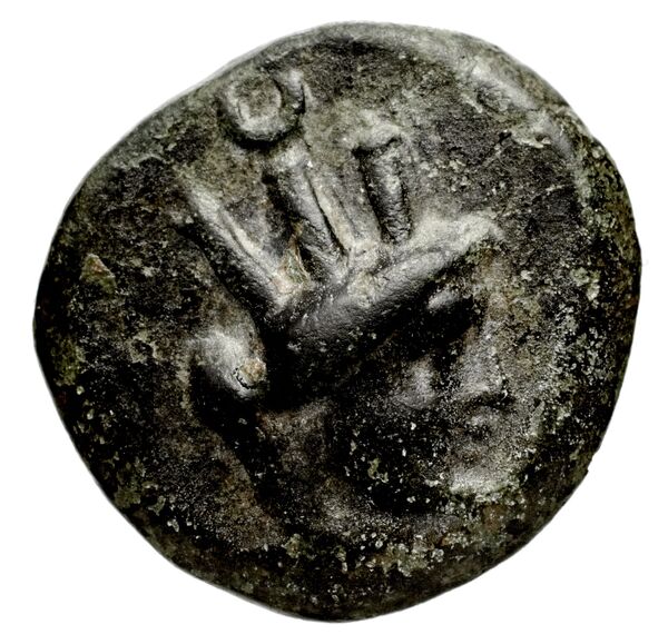 obverse Orthosia BMC Orthosia 1