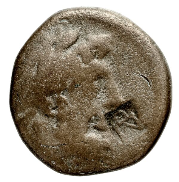 Ptolemy of Chalcis Chalcis sub Libano Herman 2006 1, аверс, BnF (IRIS)