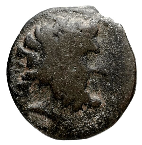 Ptolemy of Chalcis Chalcis sub Libano Herman 2006 4, аверс, BnF (IRIS)