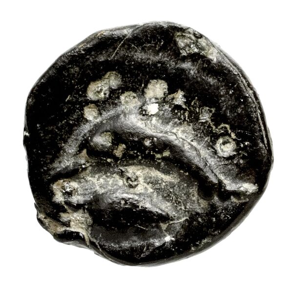 Tyre Elayi 2009 III.2.4, реверс, bnf-iris