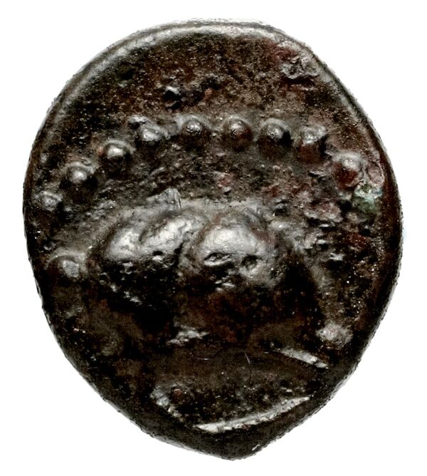 Tyre Elayi 2009 III.2.3, реверс, bnf-iris
