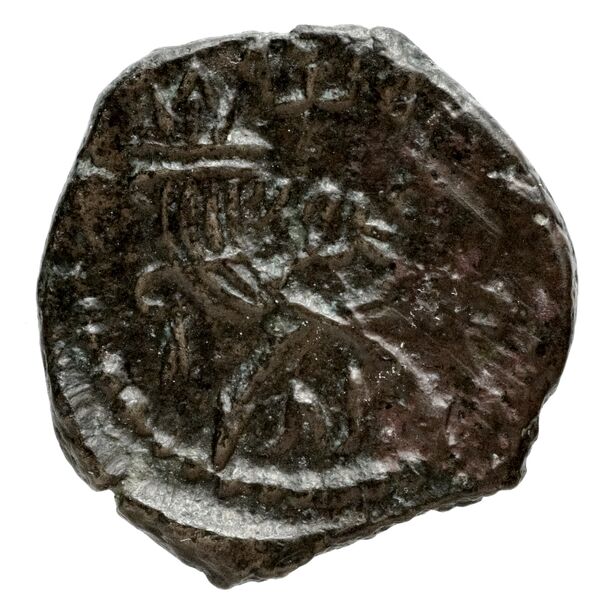 Aretas IV of Nabataea Petra Barkay 2019 186, 188, реверс, BnF (IRIS)