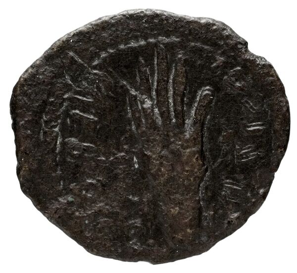 реверс Malichus I of Nabataea Petra Barkay 2019 11, 14, 19