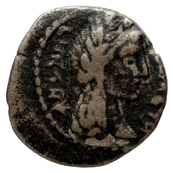 Aretas IV of Nabataea Petra Barkay 2019 133,137, аверс, BnF (IRIS)