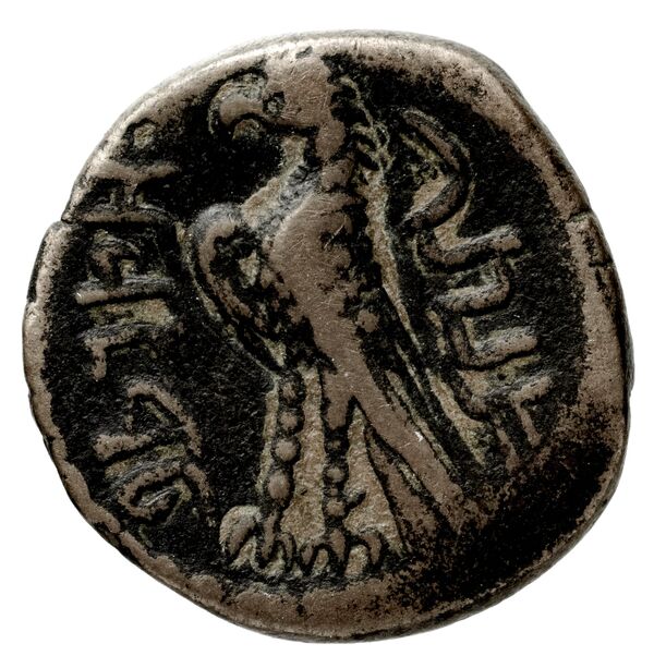 Aretas IV of Nabataea Petra Barkay 2019 133,137, реверс, BnF (IRIS)
