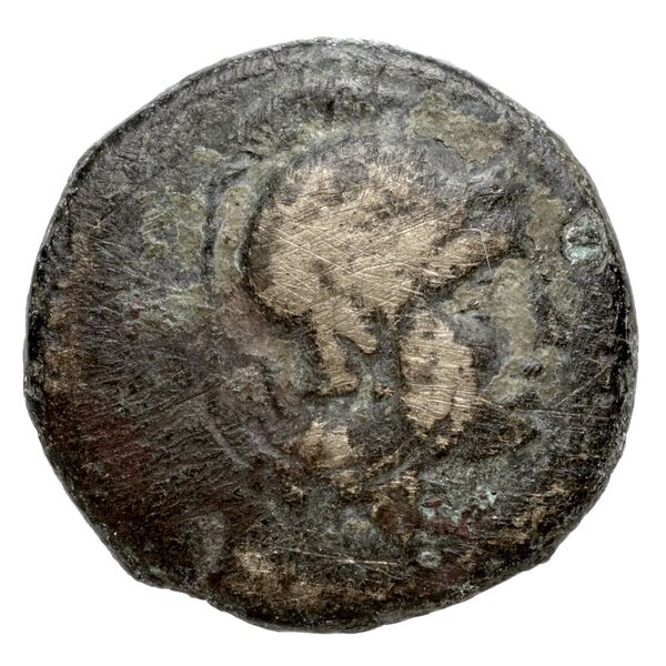 Cassander Macedon AMNG III.2 7-8, аверс, bnf-iris