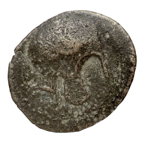 Cassander Macedon AMNG III.2 10, аверс, bnf-iris