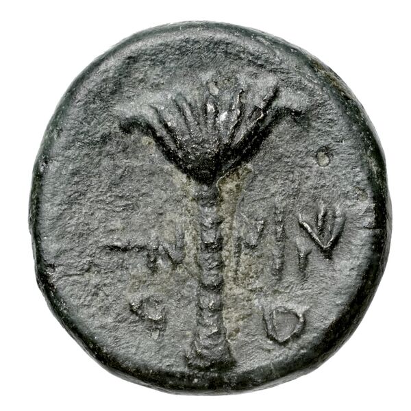 Aradus Duyrat 2005 1630-1642, реверс, bnf-iris