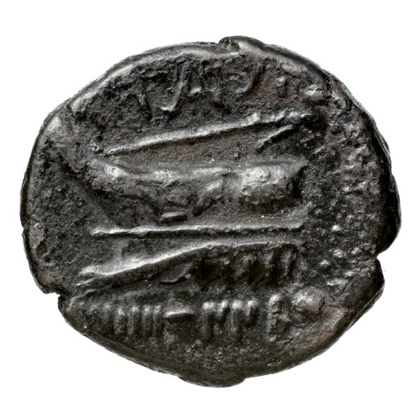 Aradus Duyrat 2005 1643-1732, реверс, bnf-iris