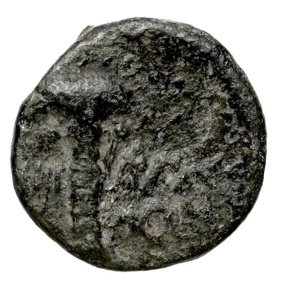 Aradus Duyrat 2005 1630-1642, реверс, bnf-iris