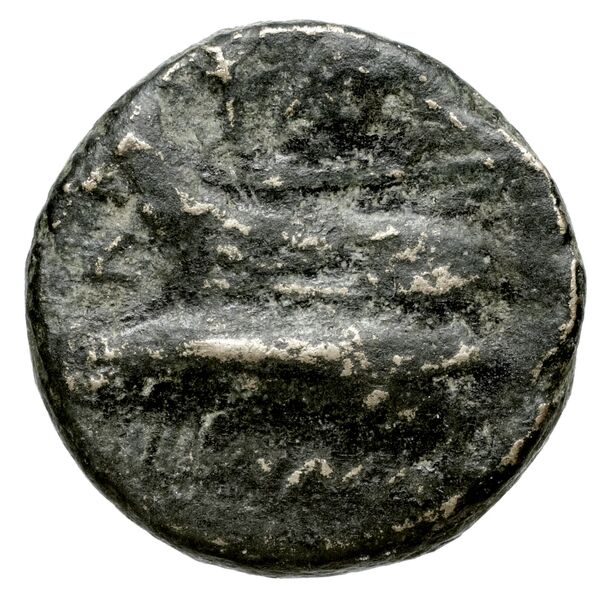 Aradus Duyrat 2005 1643-1732, реверс, bnf-iris