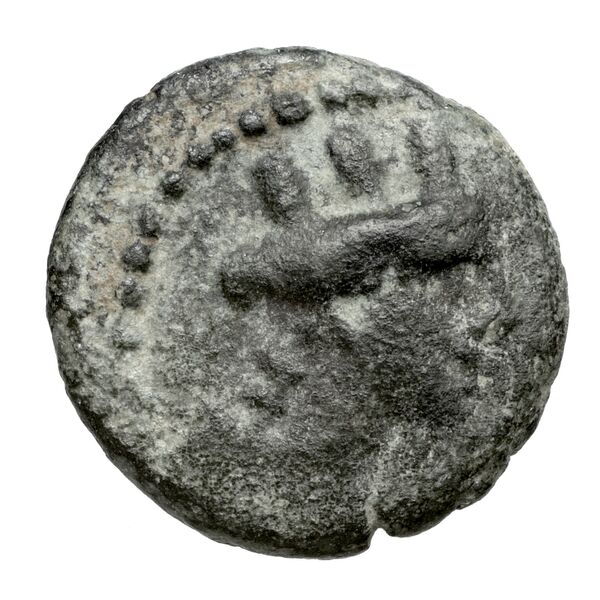 Aradus Duyrat 2005 2495-2572, аверс, bnf-iris
