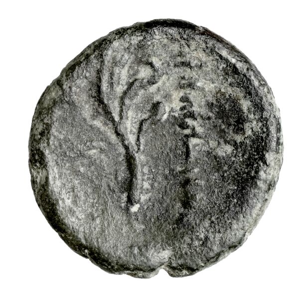 Aradus Duyrat 2005 2495-2572, реверс, bnf-iris