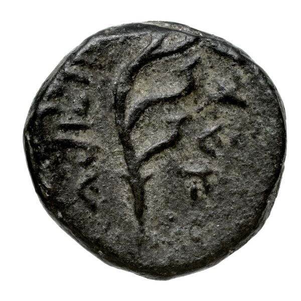 Aradus Duyrat 2005 2495-2572, реверс, bnf-iris