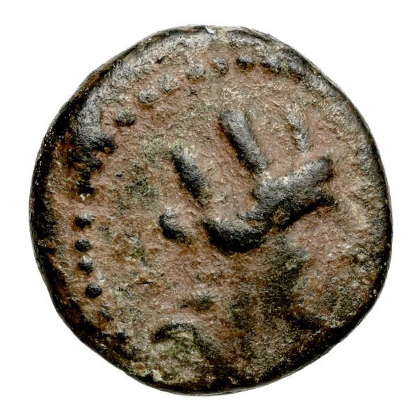 Aradus Duyrat 2005 2495-2572, аверс, bnf-iris