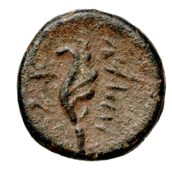Aradus Duyrat 2005 2495-2572, реверс, bnf-iris