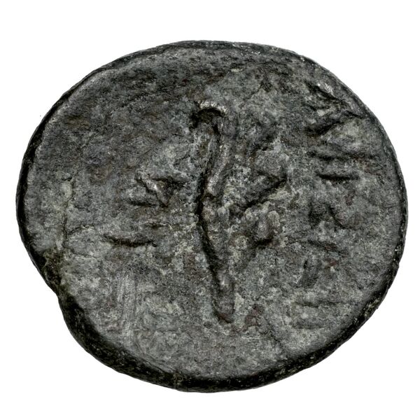 Aradus Duyrat 2005 2495-2572, реверс, bnf-iris