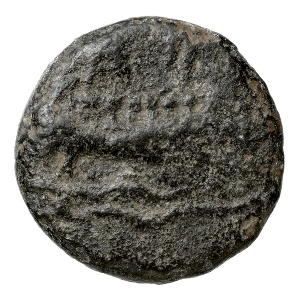 Aradus Elayi 2015 Pl. xiii, c1-5, реверс, bnf-iris