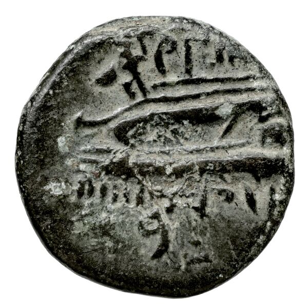 Aradus Duyrat 2005 4382-4404, реверс, bnf-iris