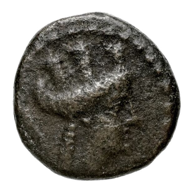Aradus Duyrat 2005 2495-2572, аверс, bnf-iris