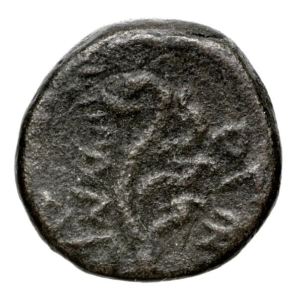 Aradus Duyrat 2005 2495-2572, реверс, bnf-iris