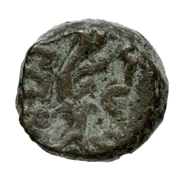 Aradus Duyrat 2005 2495-2572, реверс, bnf-iris