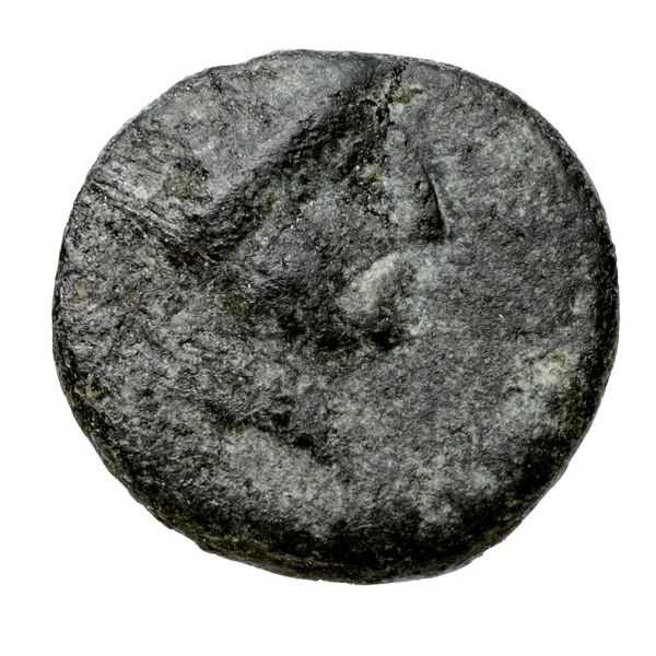 Aradus Duyrat 2005 2495-2572, аверс, bnf-iris