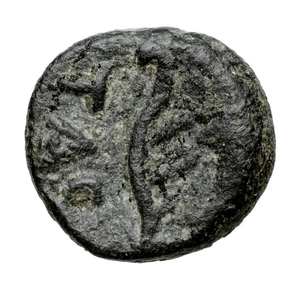 Aradus Duyrat 2005 2495-2572, реверс, bnf-iris