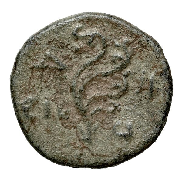 Aradus Duyrat 2005 2495-2572, реверс, bnf-iris