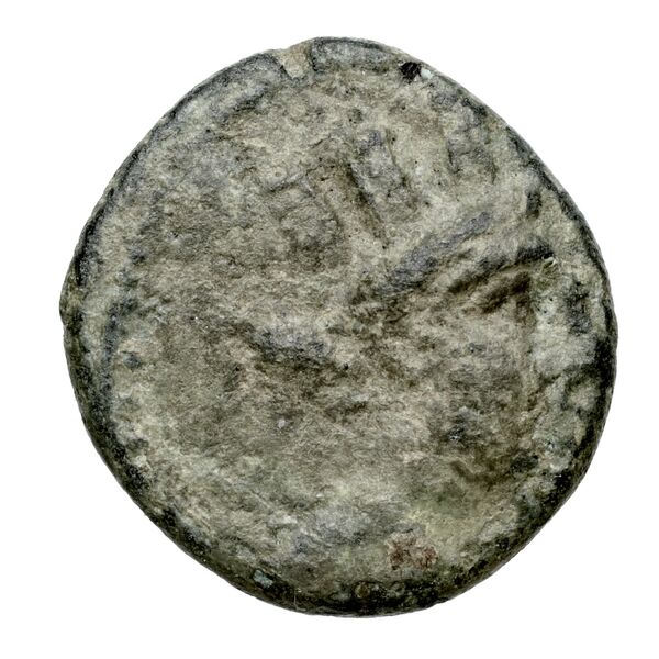 Aradus Duyrat 2005 2221-2236, аверс, bnf-iris