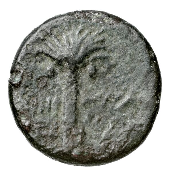 Aradus Duyrat 2005 1630-1642, реверс, bnf-iris