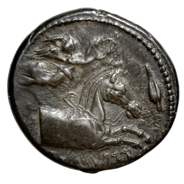 Carthaginian Empire Carthage Jenkins 1974 Carthage series 1, 1-37, аверс, BnF (IRIS)