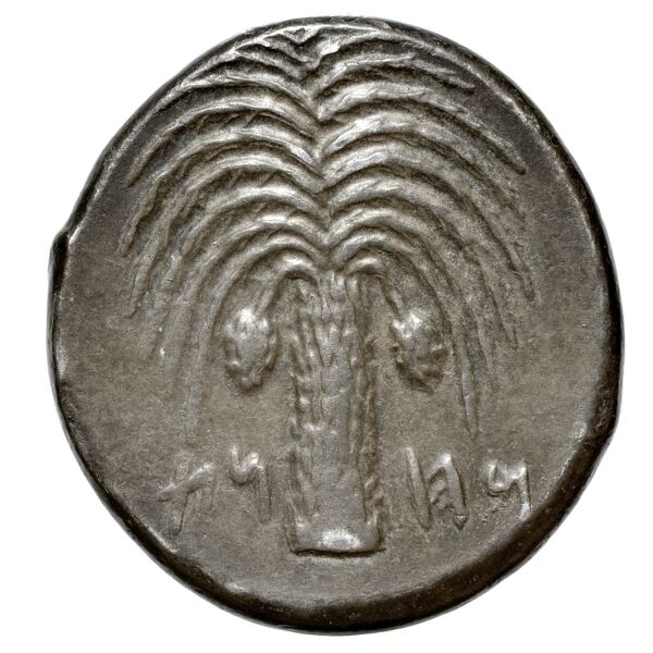 Carthaginian Empire Carthage Jenkins 1974 Carthage series 1, 1-37, реверс, BnF (IRIS)