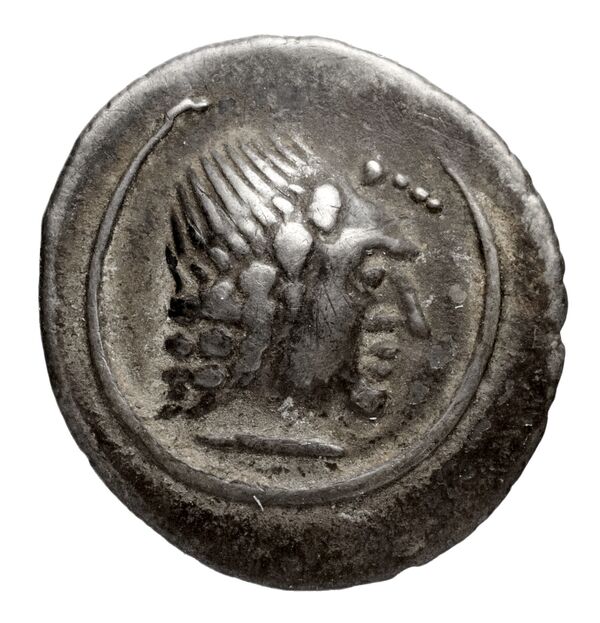 Himyarite Kingdom Arabia Huth 2010 411-431, аверс, bnf-iris
