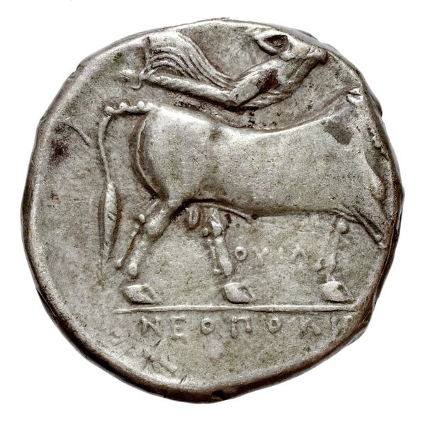 Neapolis Historia Numorum Italy 576, реверс, bnf-iris