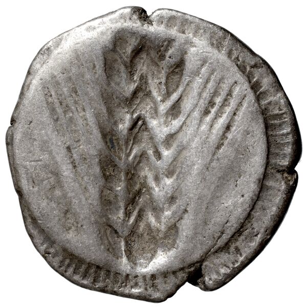 Metapontum Historia Numorum Italy 1482-3, реверс, BnF (IRIS)