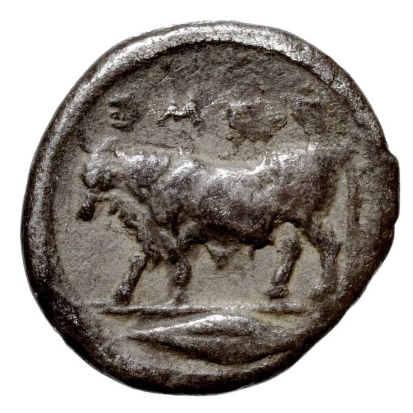 Poseidonia Historia Numorum Italy 1119, реверс, BnF (IRIS)