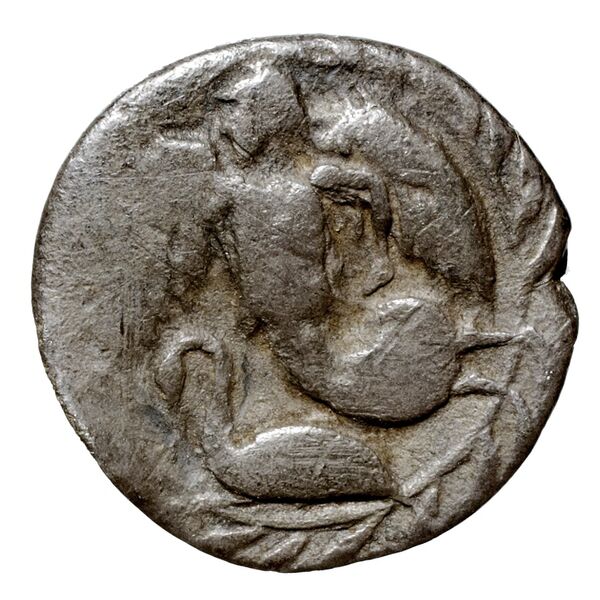 Camarina Westermark and Jenkins 1980 10-129, аверс, bnf-iris