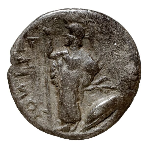 Camarina Westermark and Jenkins 1980 10-129, реверс, bnf-iris