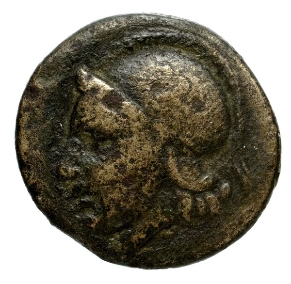 Phocaea BMC Phocaea 109-13, аверс, bnf-iris