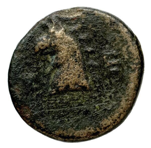 Phocaea BMC Phocaea 109-13, реверс, bnf-iris