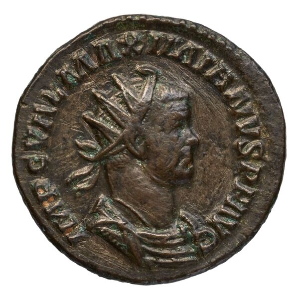 RIC V Diocletian 437, аверс, bnf_ocre
