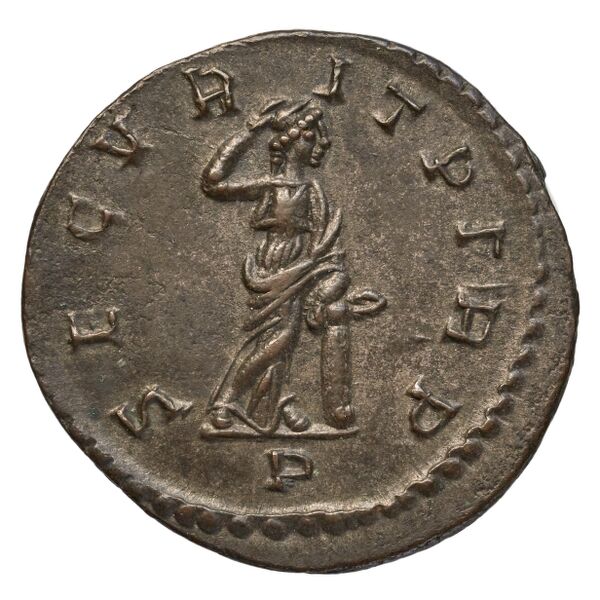 RIC V Diocletian 83, реверс, bnf_ocre