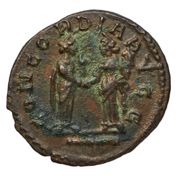 RIC V Diocletian 678, реверс, bnf_ocre