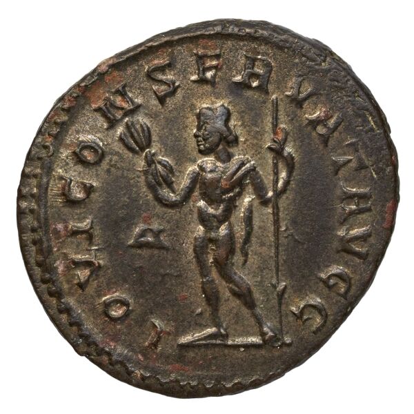 реверс RIC V Diocletian 43